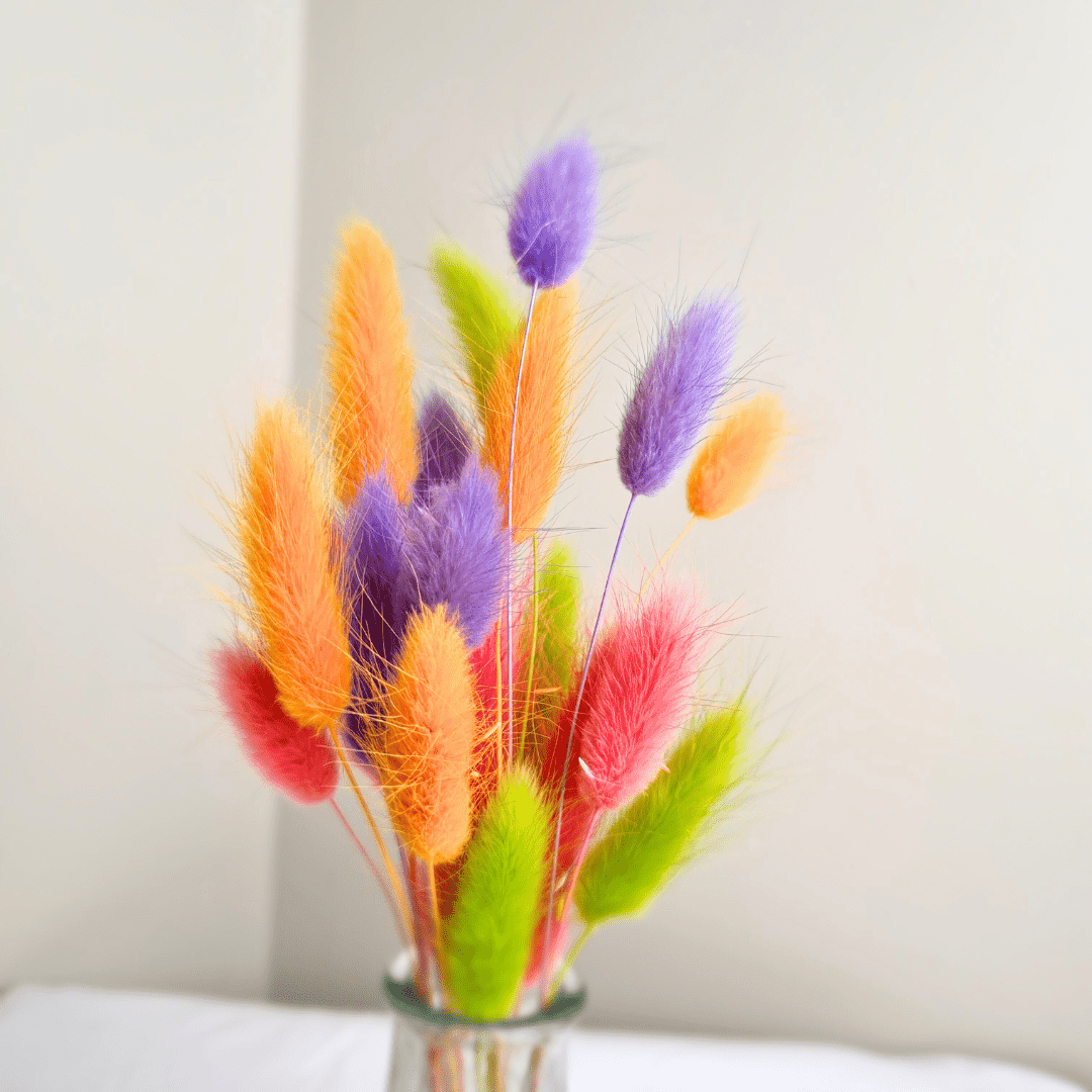 20 Bunny Tails Bunch, Easter Dried Flowers