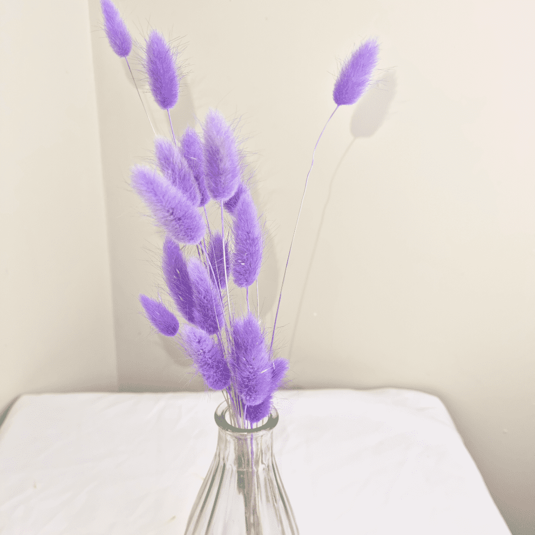 20 Lilac Bunny Tails Bunch, Easter Dried Flowers