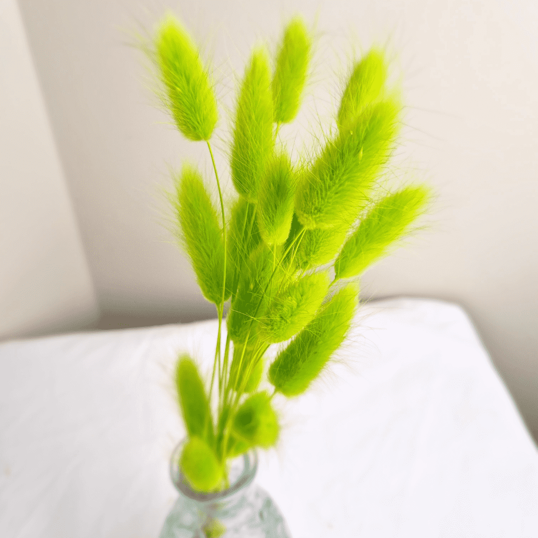 20 Bunny Tails Bunch, Easter Dried Flowers