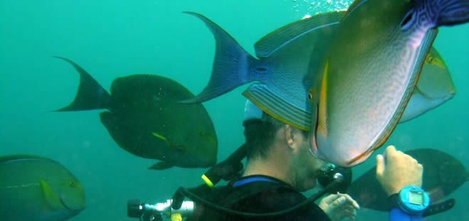 Recreational Diving at Bali Palms With Perth Bali Holidays.jpg