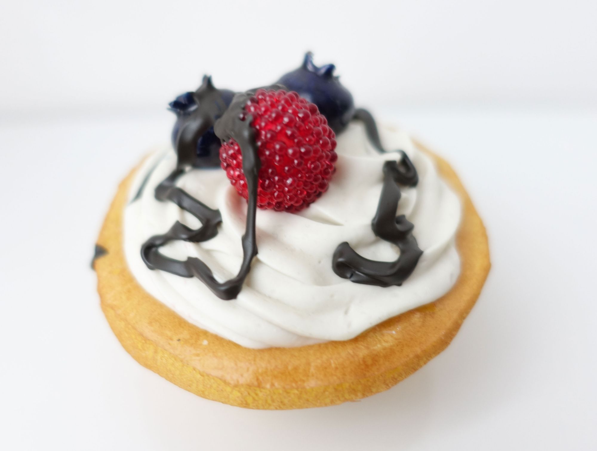 tart_blueberry5