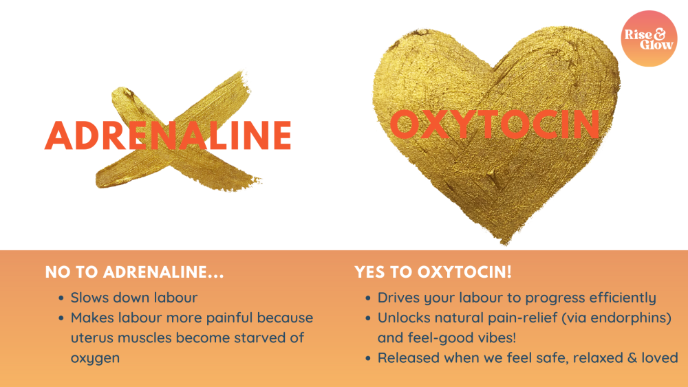 birth hormones adrenaline and oxytocin