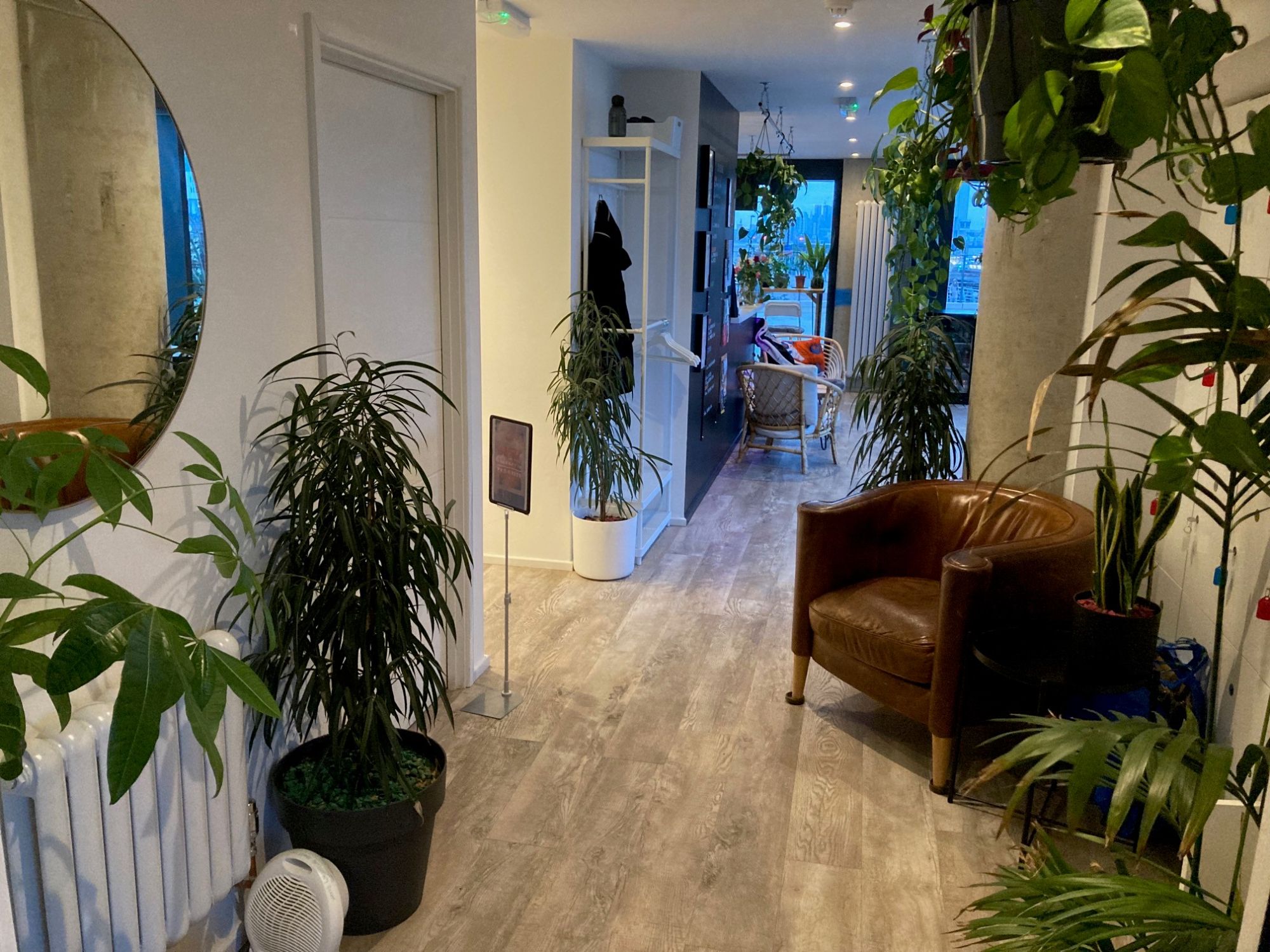 Jungle plants and riverside views in Woolwich hypnobirthing venue