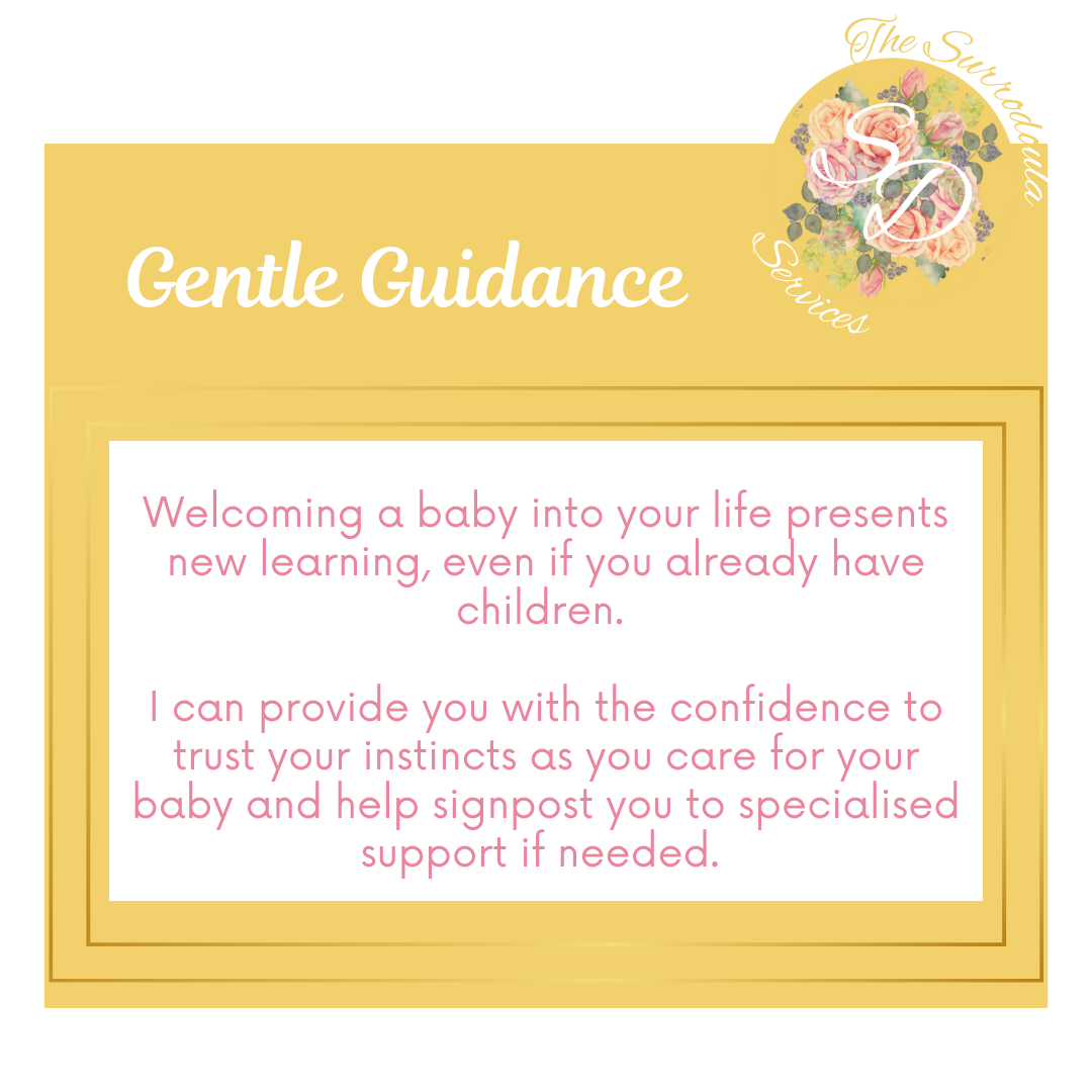 Guidance Postnatal support.png