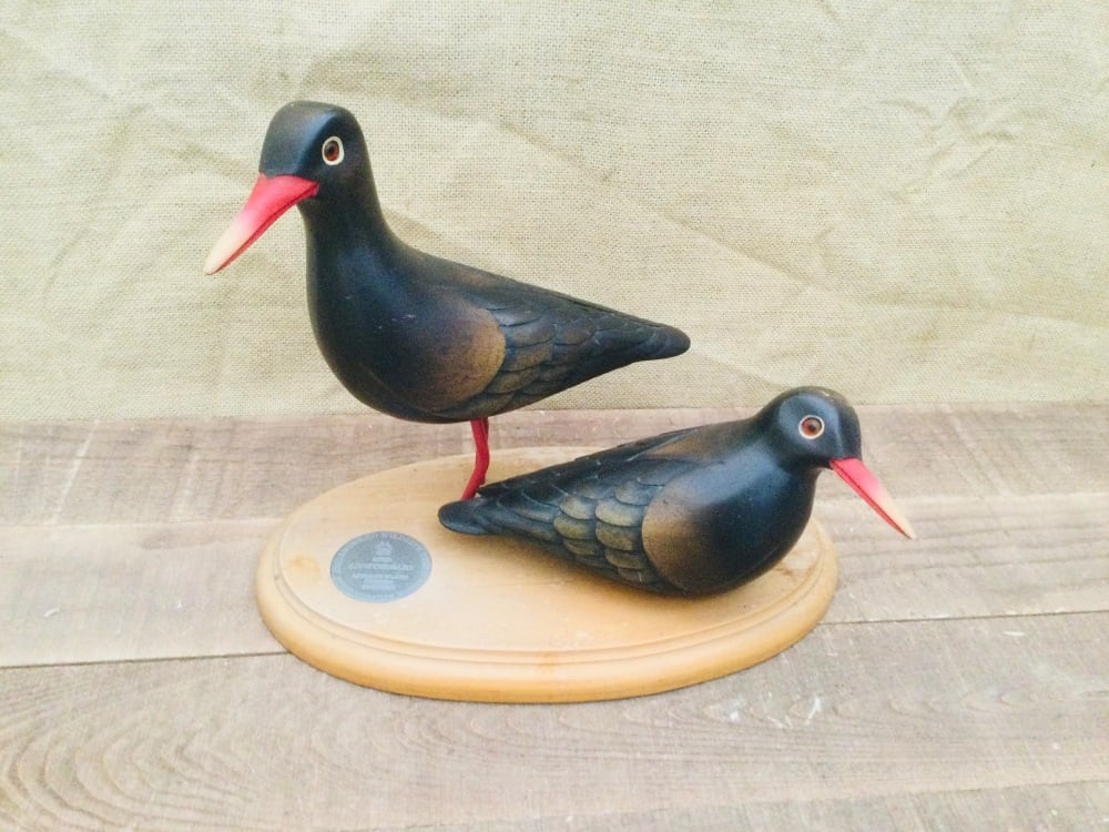 Feathers Knysna African Black Oystercatcher 1998 Commemorative Edition 8/90