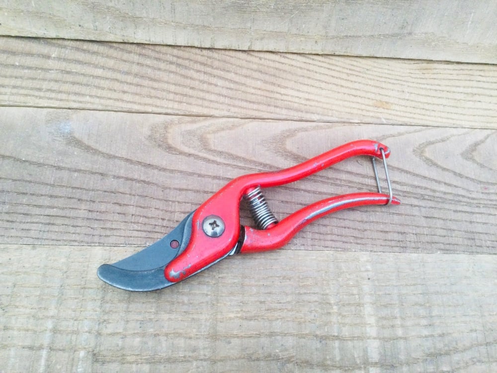 Vintage Bypass Sprung Pruning Secateurs