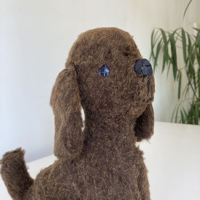 Brown dog teddy on sale