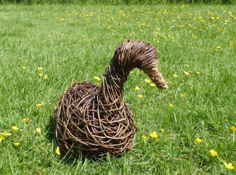 willow duck from front 