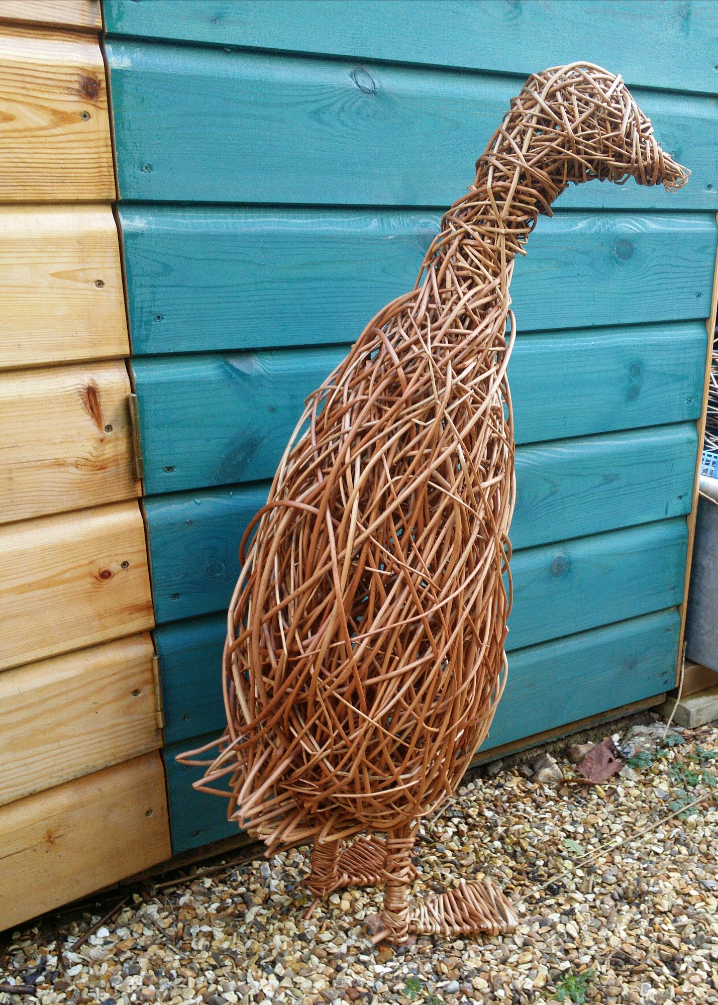  willow runner duck back