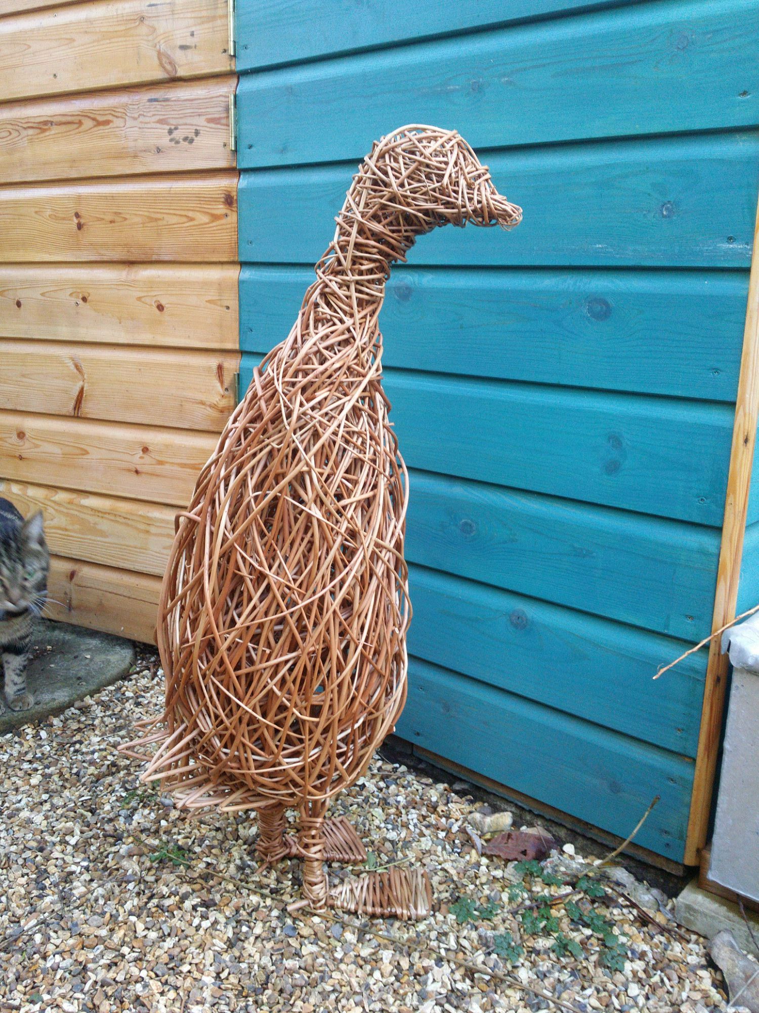  willow runner duck 