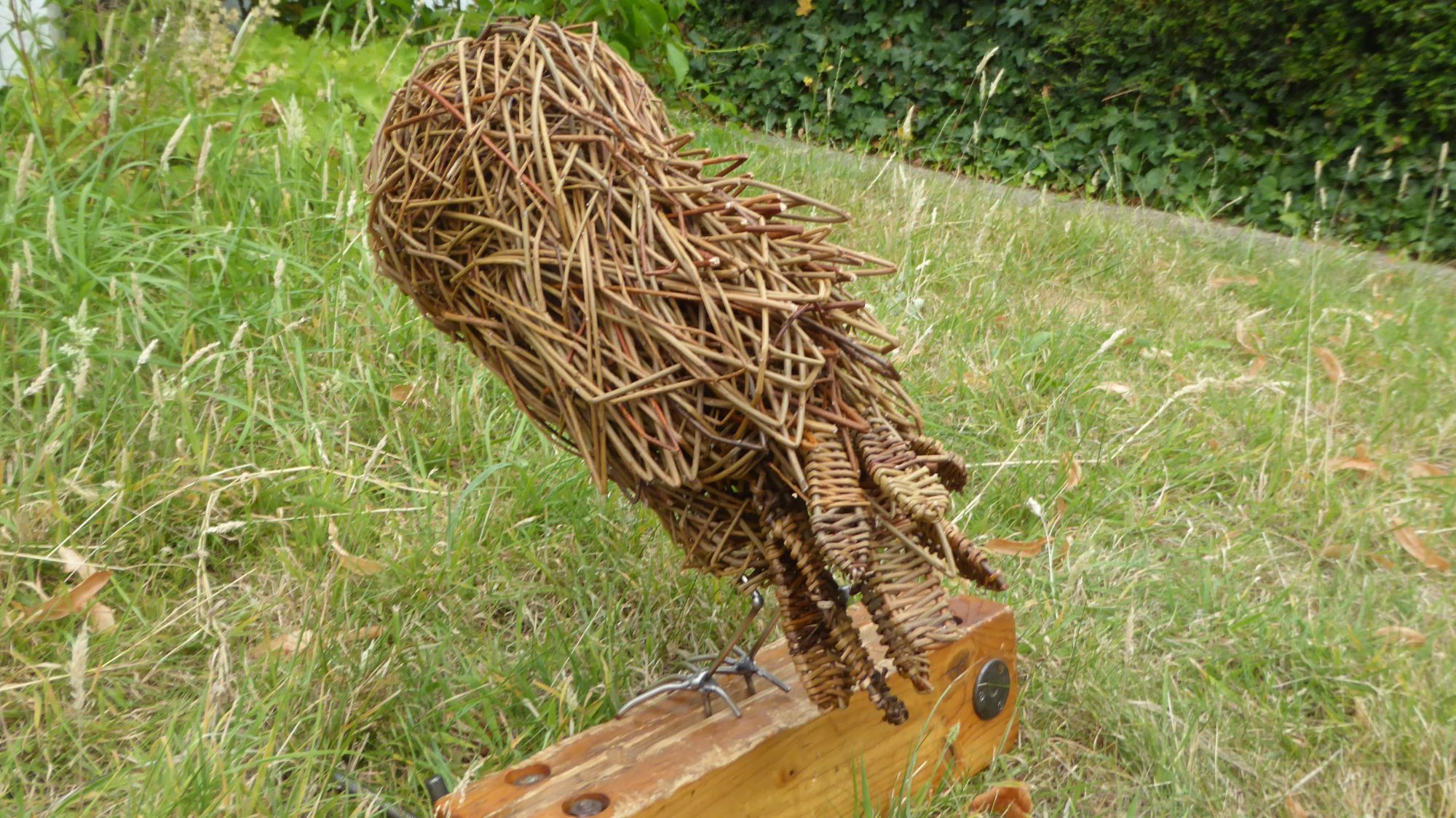 Owl created 22 from behind