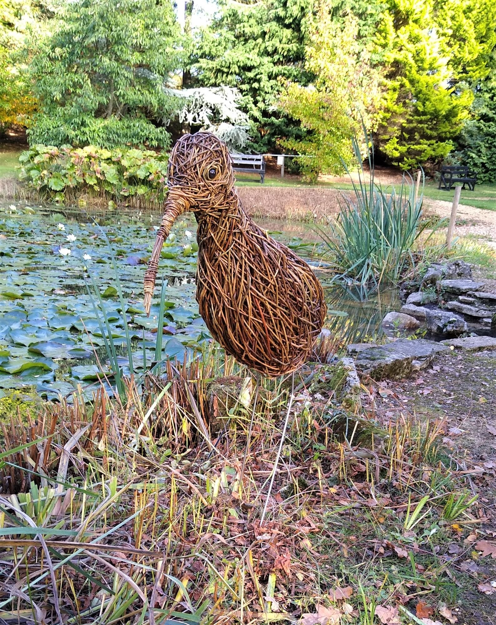 Willow curlew by Jacqueline Rolls