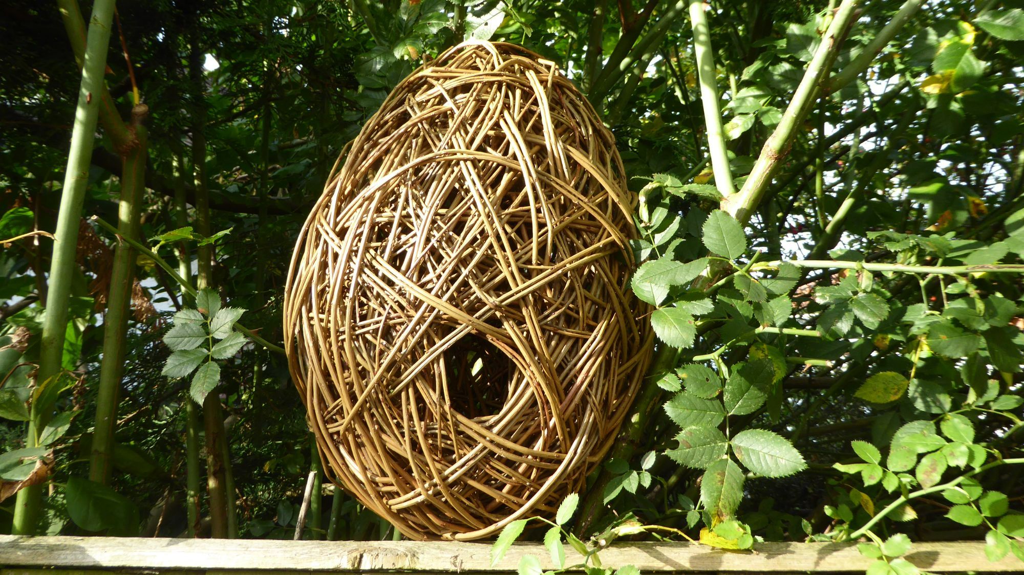 oval house