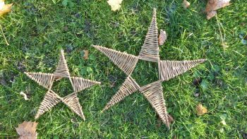  Traditional colour willow star