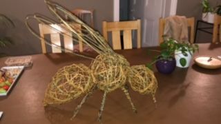 Willow bee workshop   23rd May