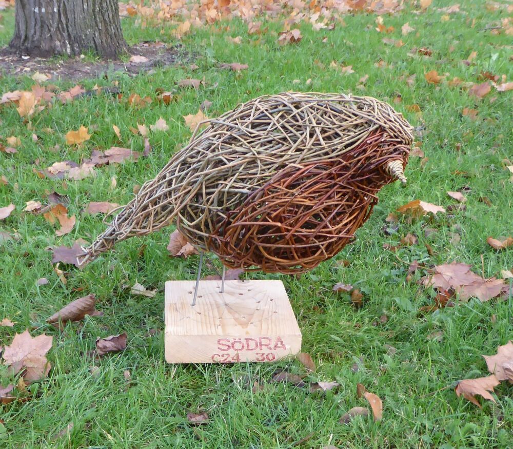 Robin willow sculpture