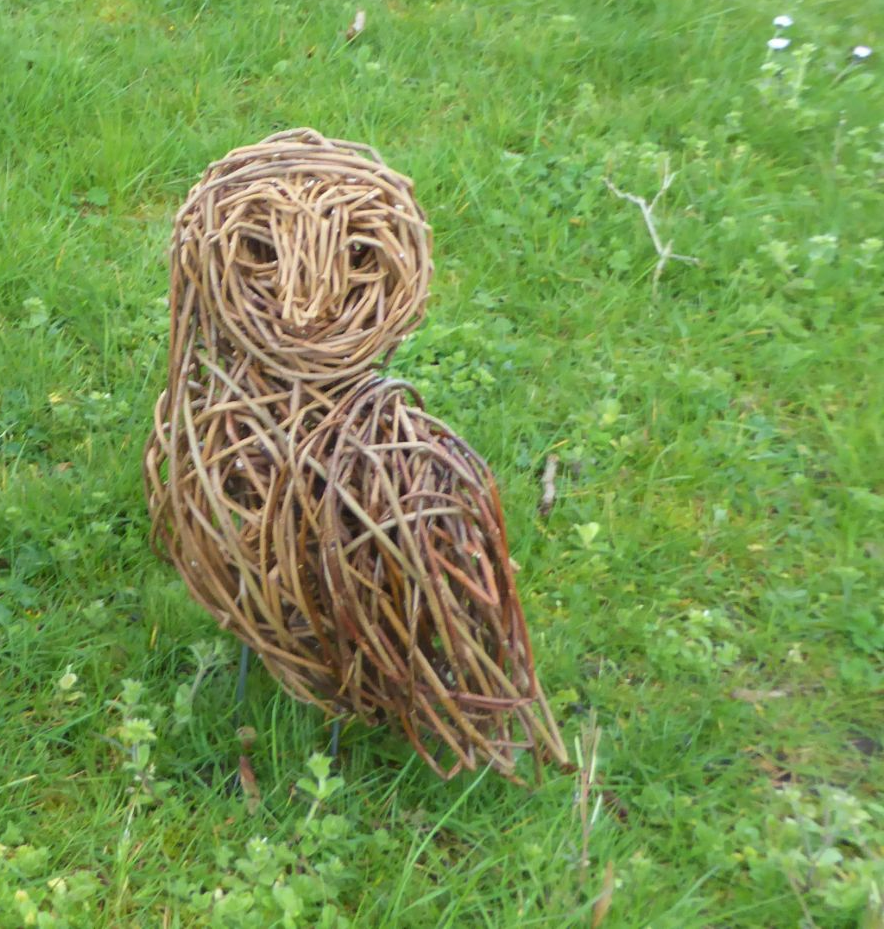 willow barn owl