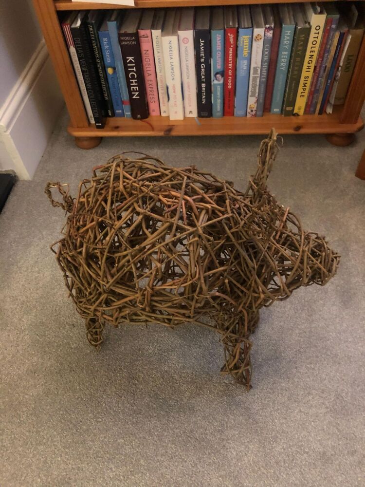 Willow piglet workshop  Burley Village  Hall  on the  9th June