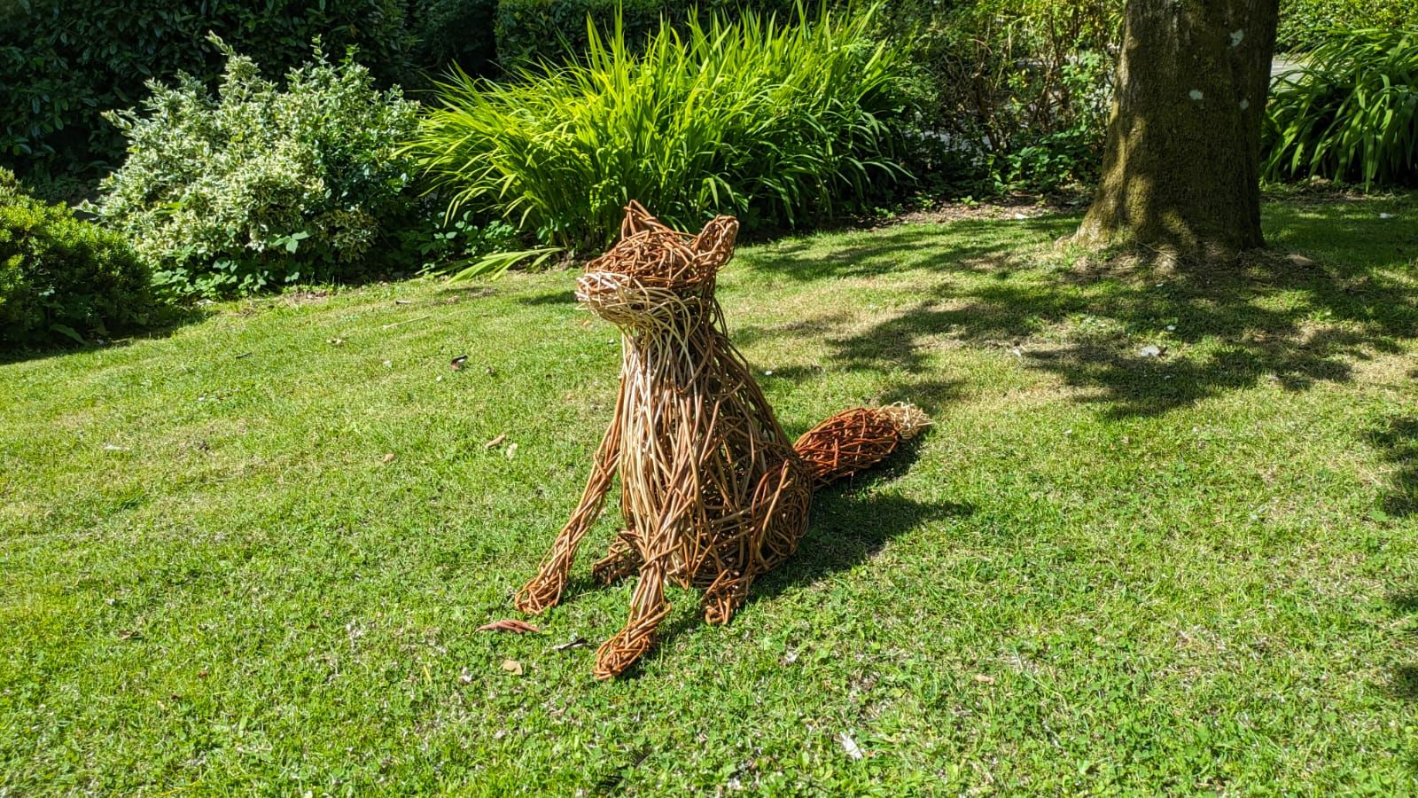 sitting fox horizontal