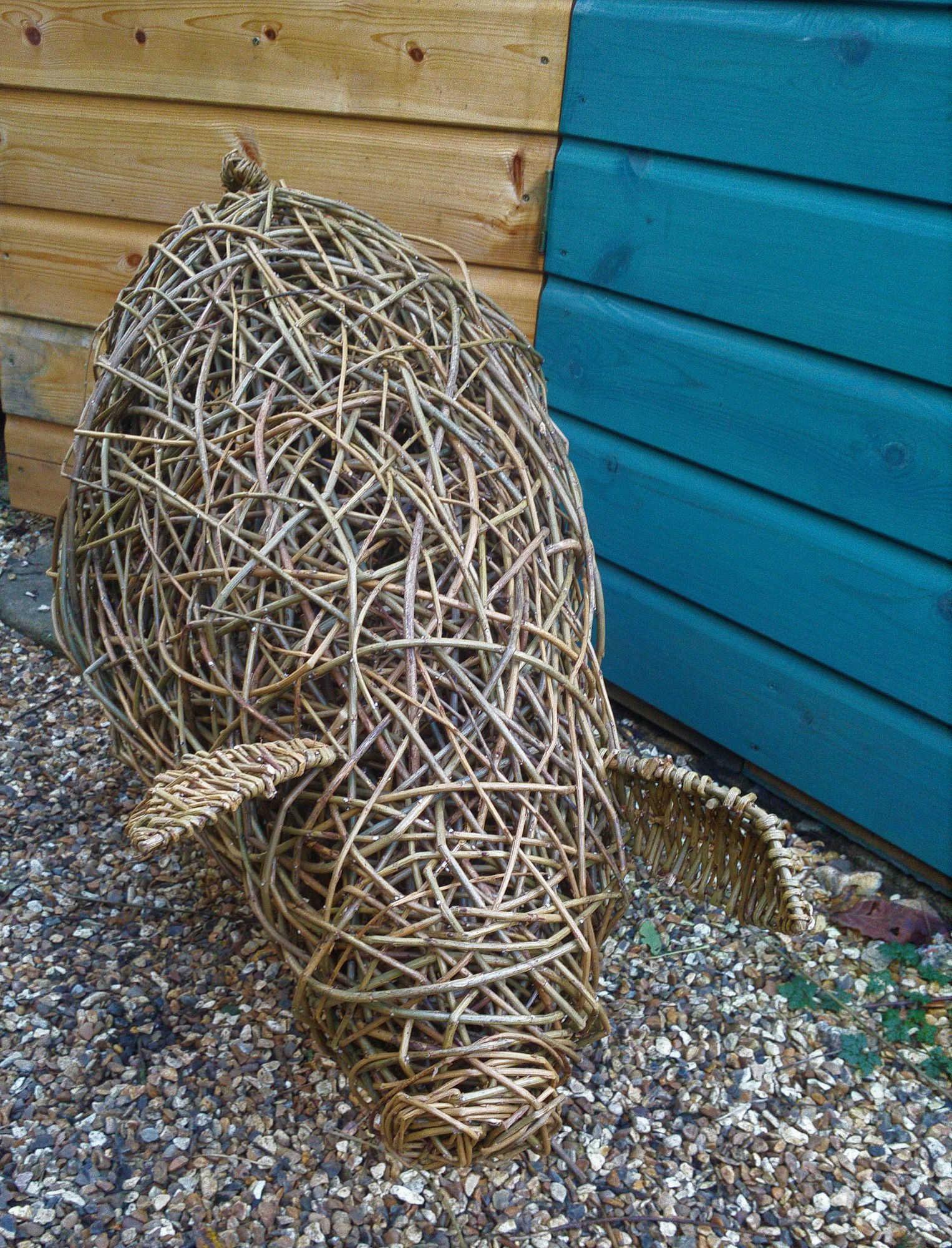 willow pig from above