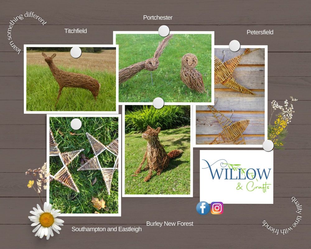 Willow workshops