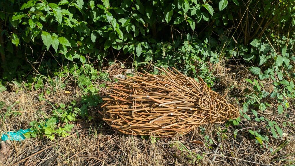 Hedgehog sculpture workshop  River Hamble Country Park nr Southampton Thursday 7th November