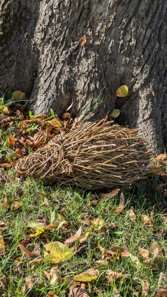 Hedgehog sculpture workshop  River Hamble Country Park nr Southampton Thursday 7th November