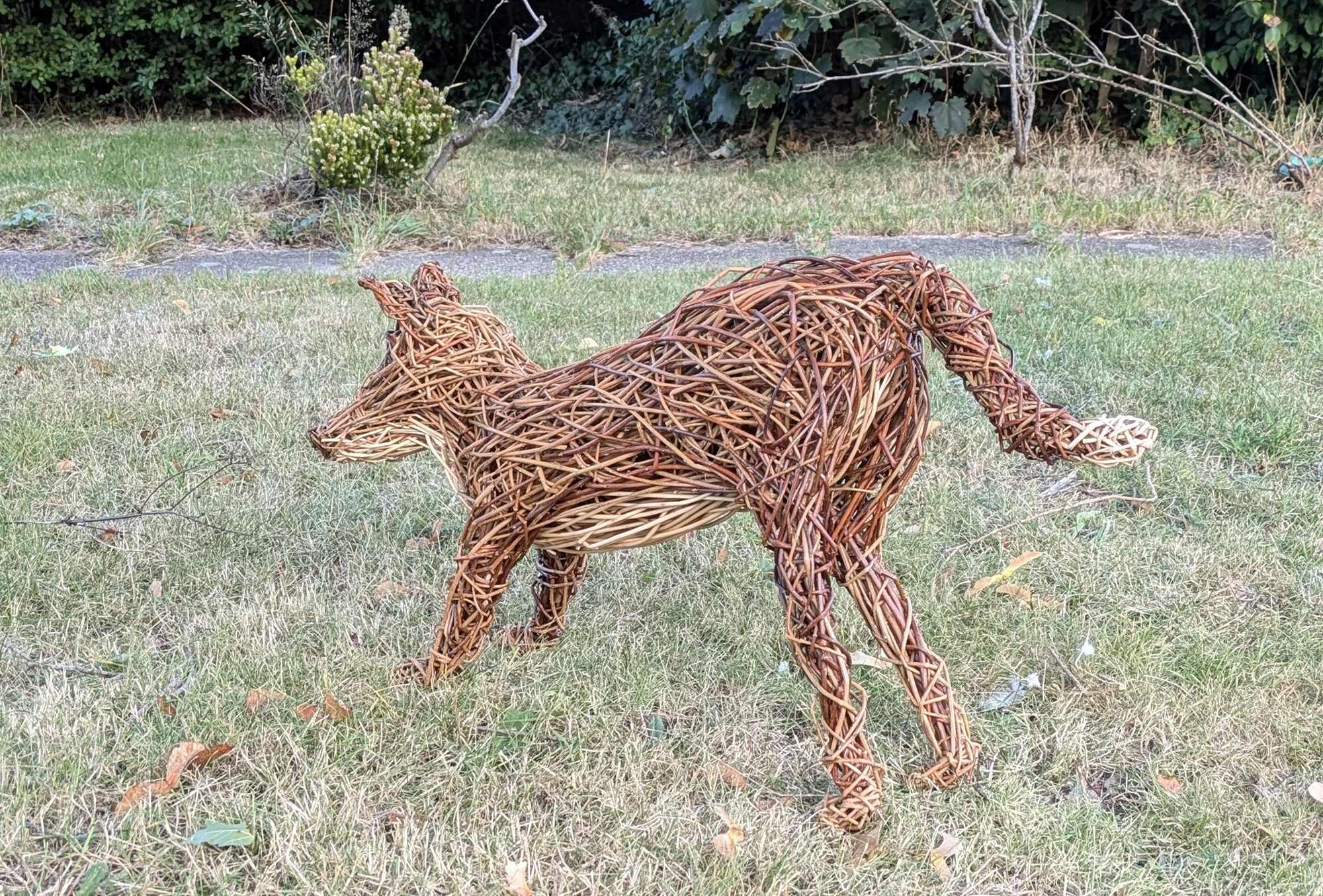 sculpture urban fox made from willow  from behind 