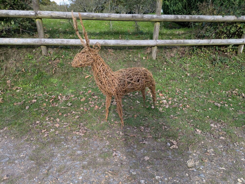 Willow deer/ reindeer or even a llama workshop  Titchfield  Village  Hall  nr Fareham 30th November