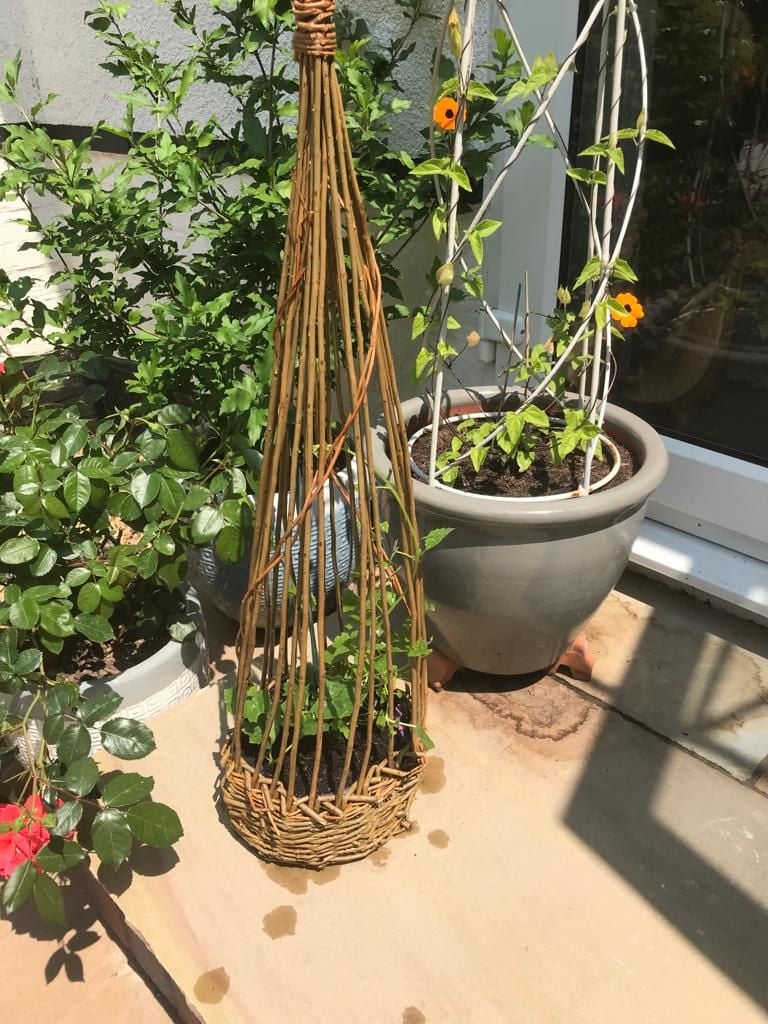 Sweet pea baskets March 22nd Chandlers Ford Eastleigh