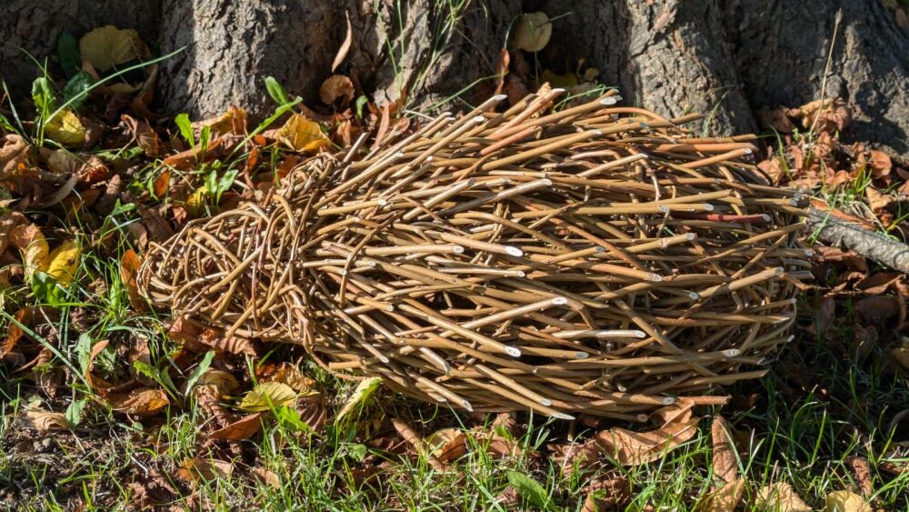 Willow hedgehog sculpture