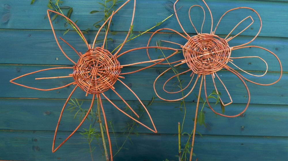 Willow flowers  Valentine day workshop River Hamble Country Park