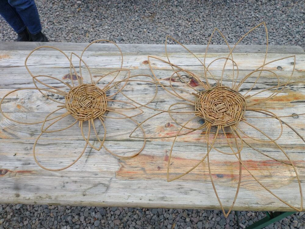 Willow flower evening workshop Curdridge nr Wickham
