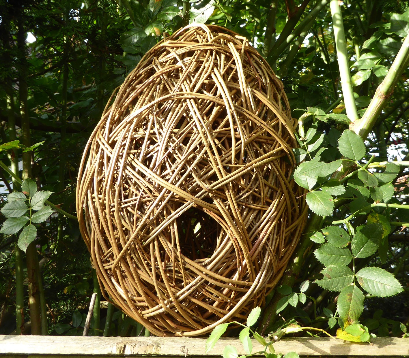 egg shaped  bird house in leaves.JPG