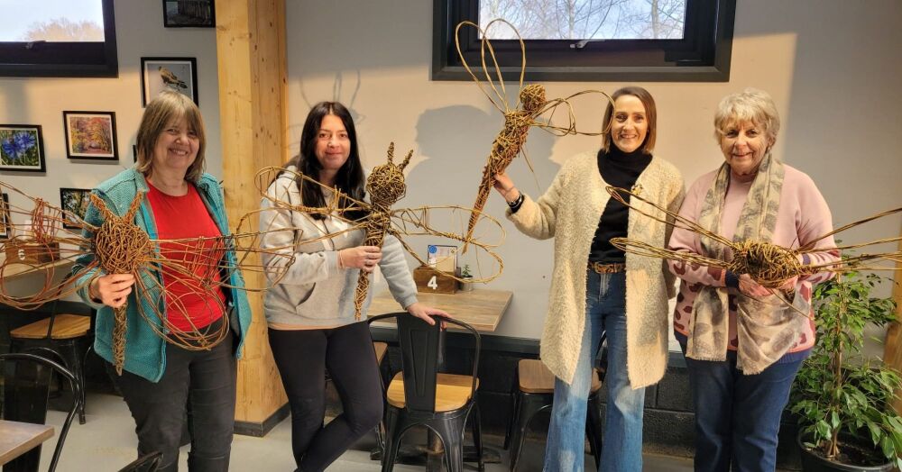 Create a large  willow butterfly or dragonfly  workshop  ( part of the Southampton Urban Wild Festival 29th May)