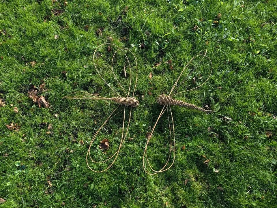 Dragonfly evening  willow workshop Southampton Wednesday 9th July