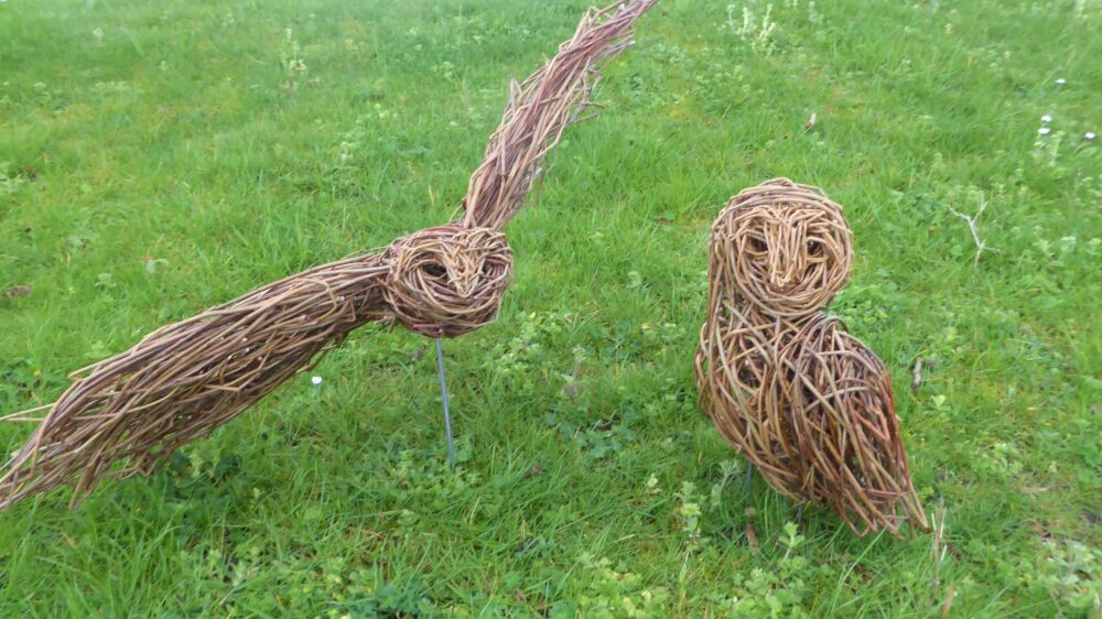 Create a sitting or flying willow owl workshop,  Chandlers Ford Eastleigh,  Sunday September 21st