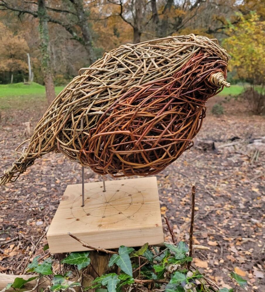 Willow robin workshop 8th November Eastleigh