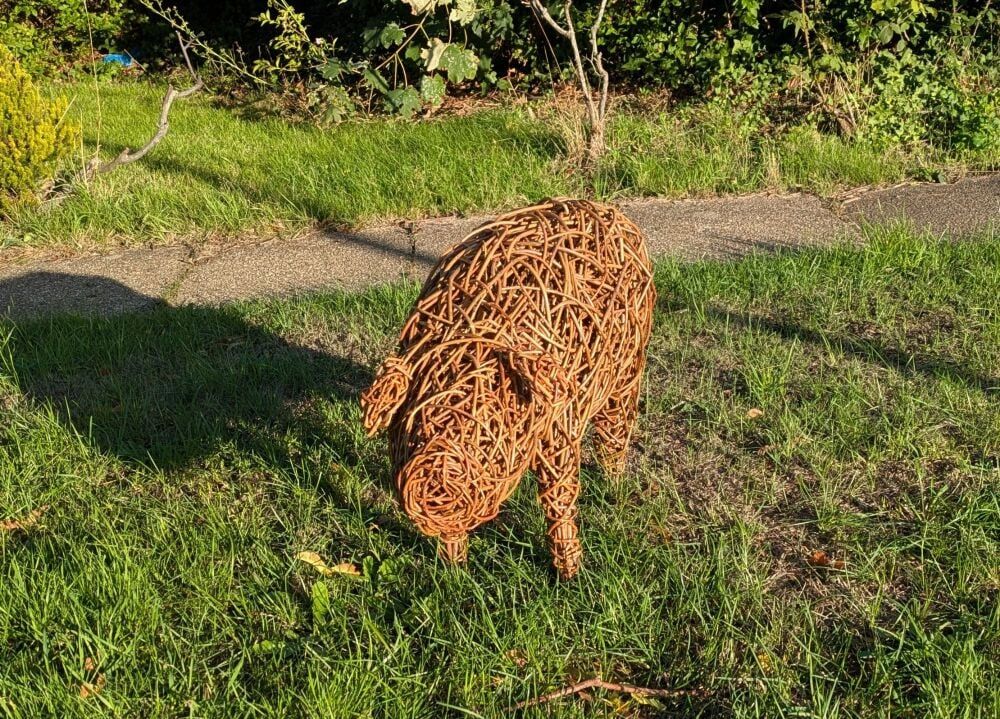 Willow pig