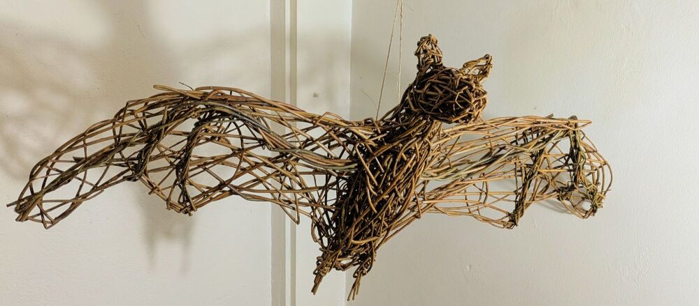 Willow bat workshop Thursday 30th October