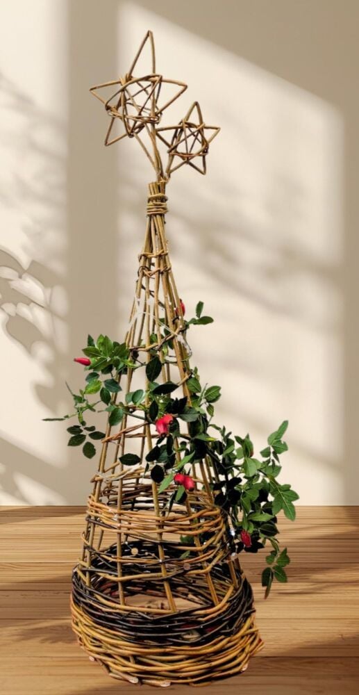 Create a cone shaped willow Christmas Tree at  River Hamble Country Park 2nd December