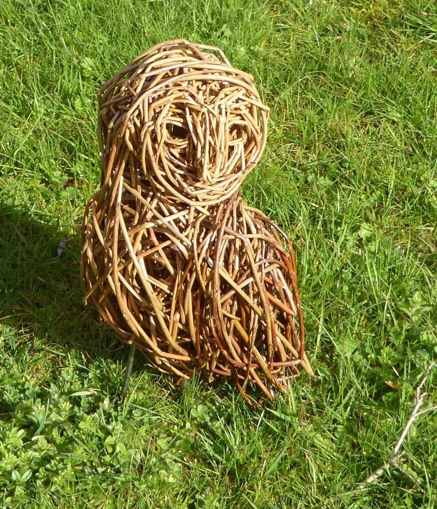 Willow  owl  workshop – Celebrate the RSPB National Garden Birdwatch ( 24th January Southampton)