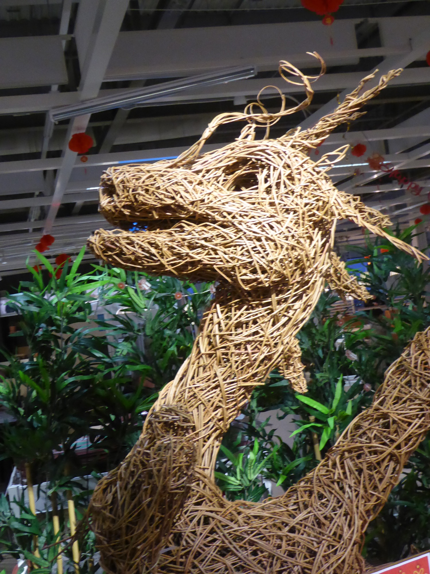 close up of willow dragon face