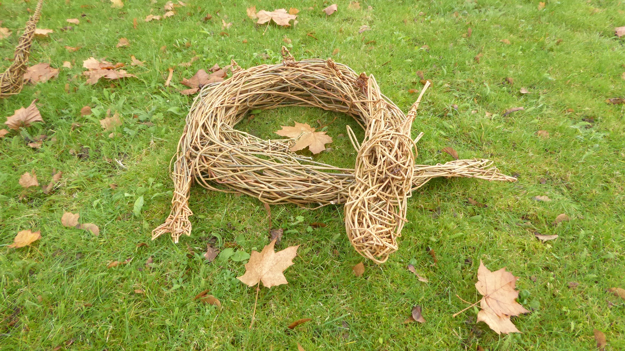 small dragon curled up napping