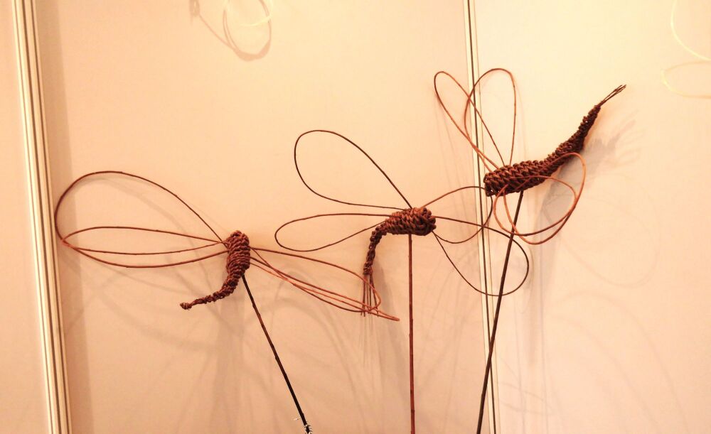 Willow Dragonfly evening workshop,  14th May Four Acre Farm Ringwood