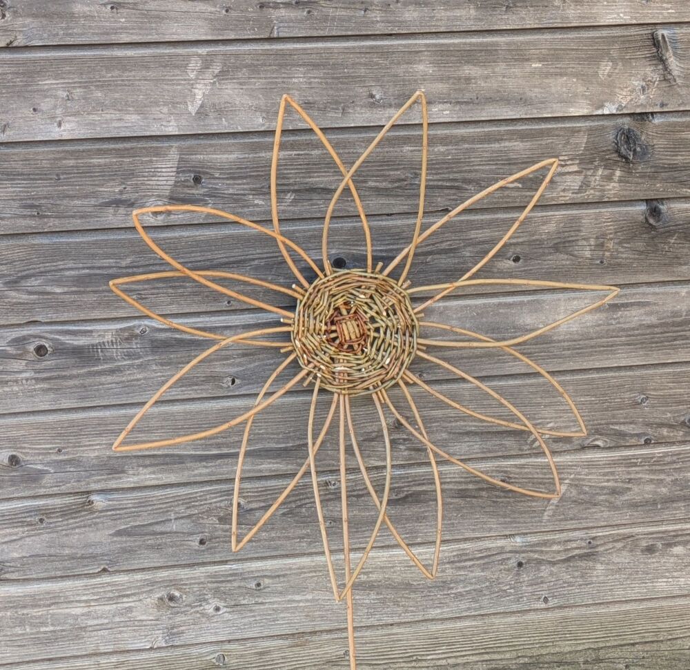 Willow Flower evening workshop  Four Acre Farm Ringwood Wednesday 24th June