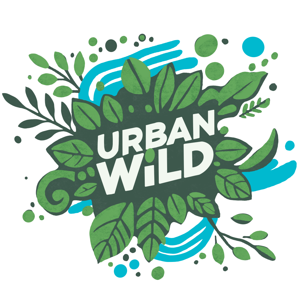 Willow Dragonfly evening workshop, SUPPORTED BY URBAN WILD SOUTHAMPTON  Wed