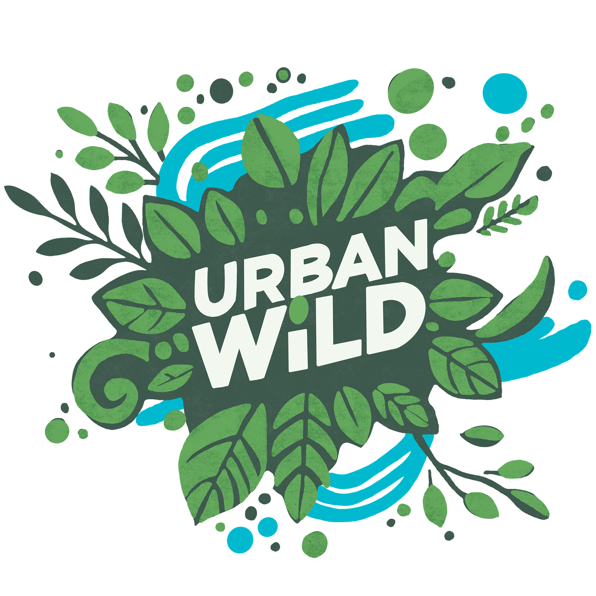  willow dragnflys on sticks 