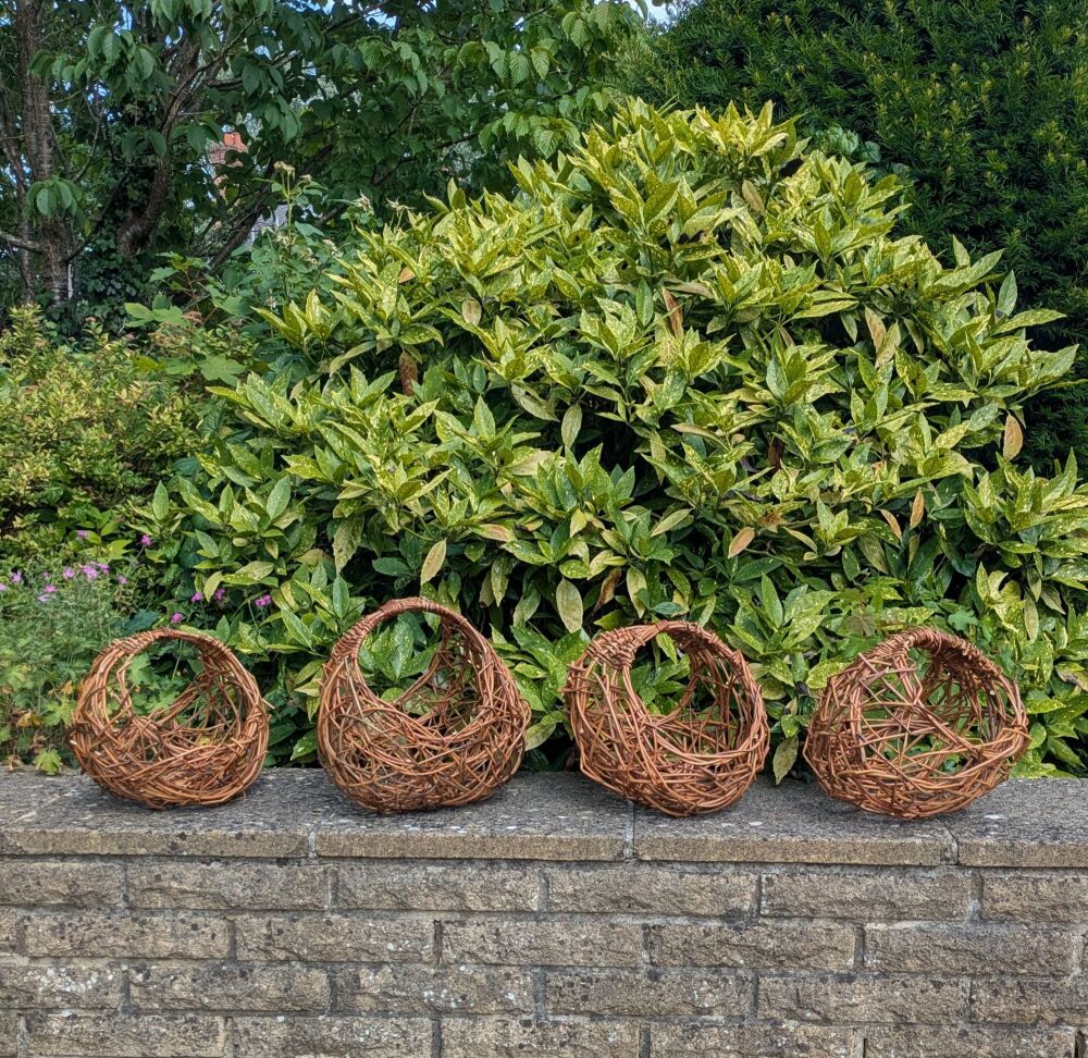 Nature’s Basket: Interlaced , Portchester , Fareham. 17th  October
