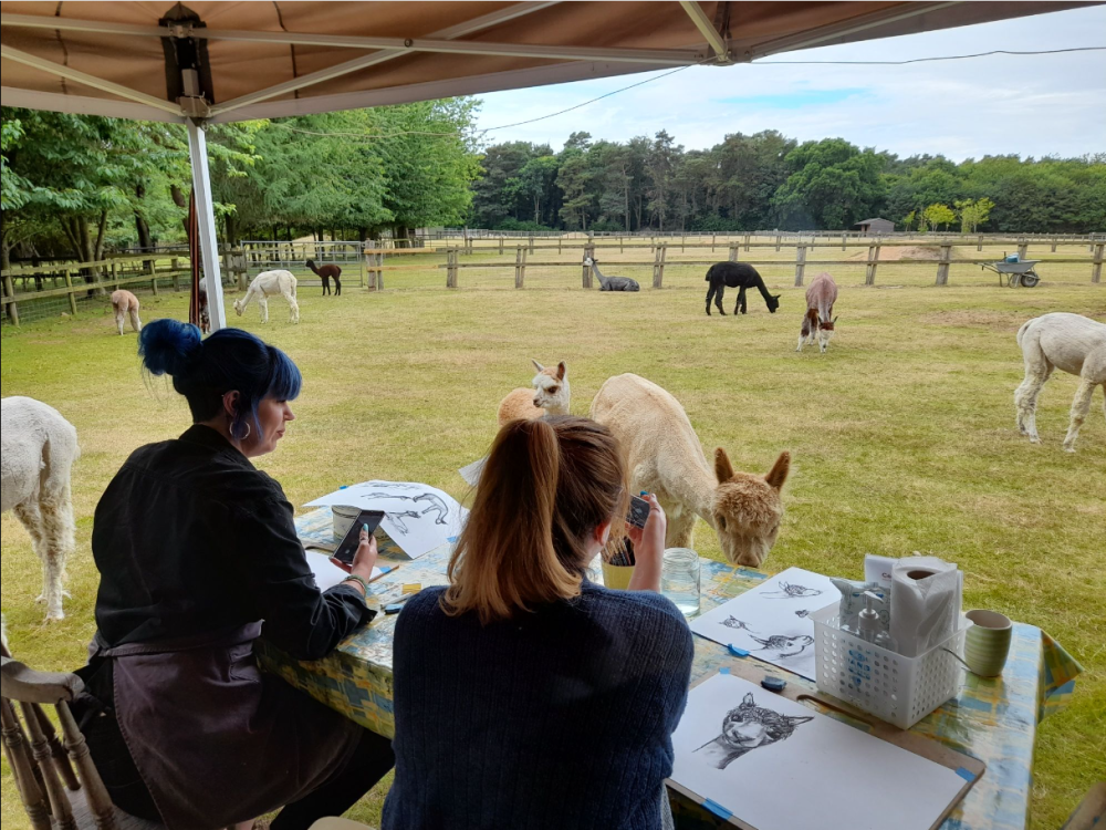 Art with ‘Annie’s Alpacas’ Friday 19th of May 2023